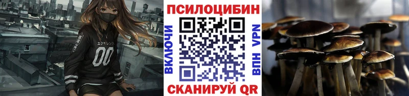 shop Telegram Семёнов Галлюциногенные грибы GOLDEN TEACHER